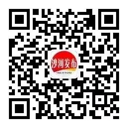 沙河新闻最新消息2024,沙河新闻最新消息2024，深入分析与观点阐述