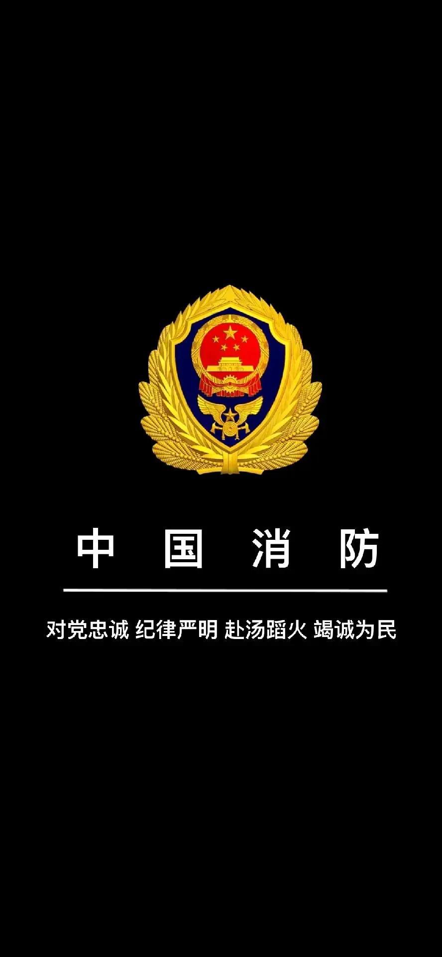 汽车装饰用品销售 第420页