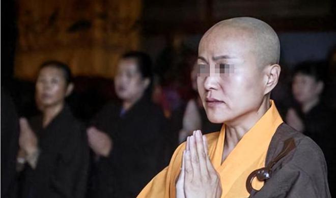 合和尚善最新动态，时代之光下的璀璨明珠