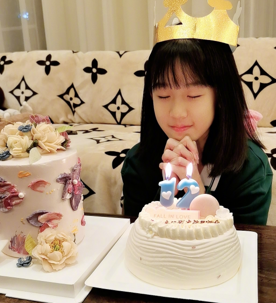 过十二岁生日最新蛋糕,过十二岁生日最新蛋糕，一种文化现象的深度探讨