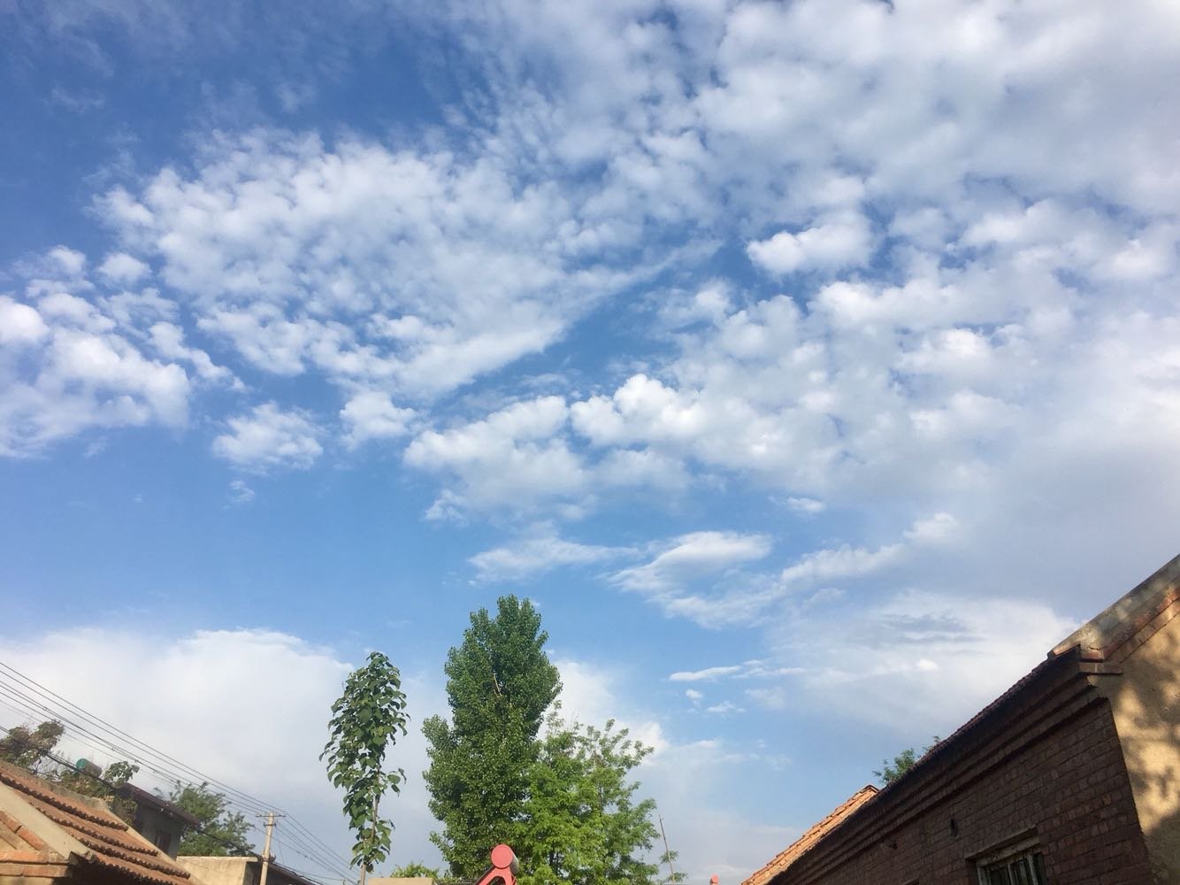 青州天气预报30天最新资讯，科技与生活的无缝对接