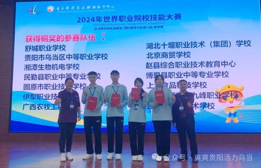 2024旺族饲料最新消息,2024旺族饲料最新消息，了解与选择指南