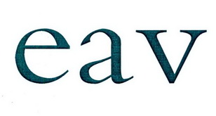 驾驭最新EAVAV V2BA旗下，开启无限可能之旅