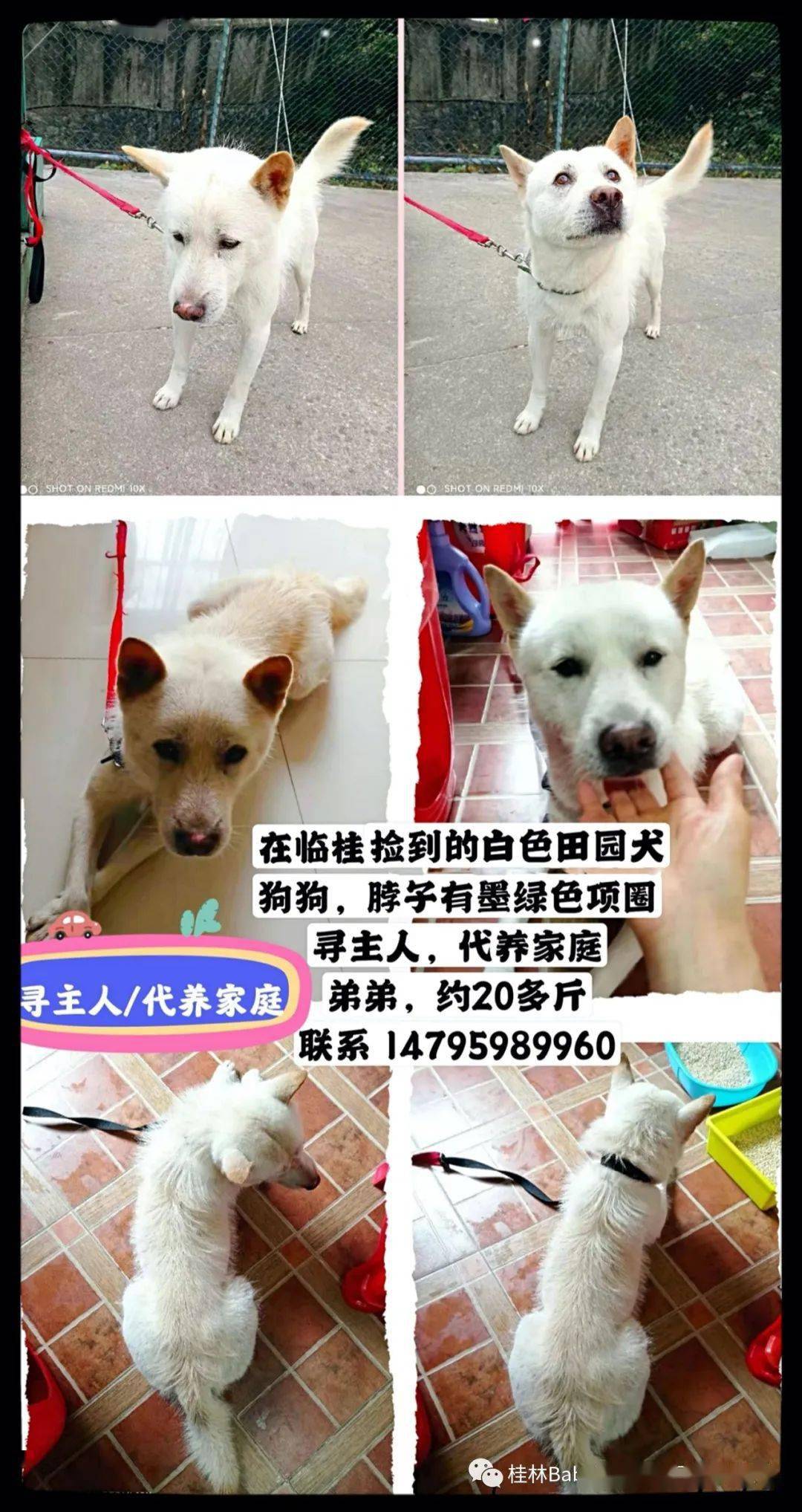 第1608页