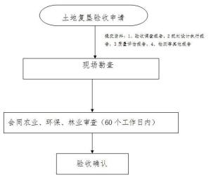 最新复耕政策观点论述，政策解读与实施建议