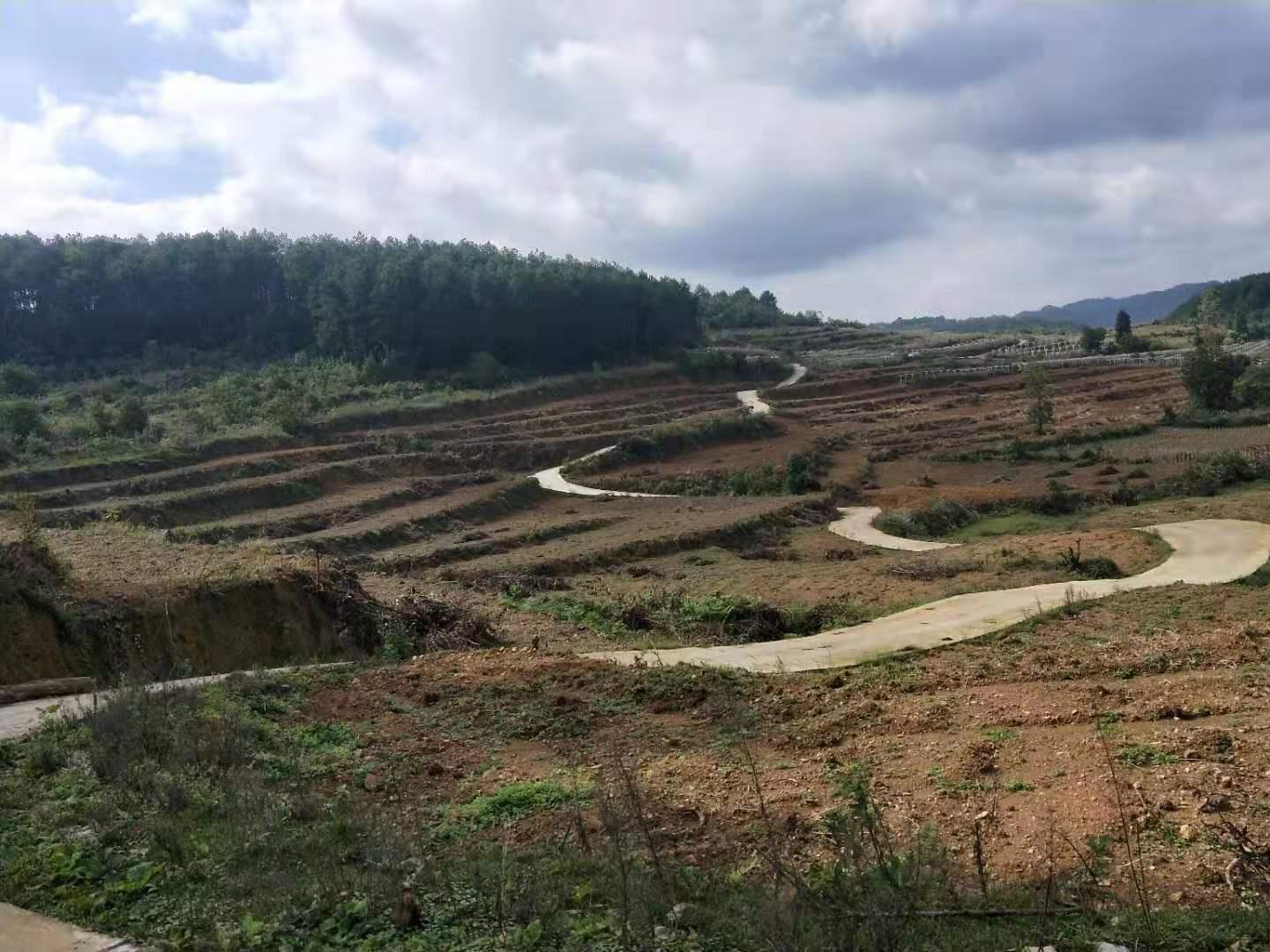 宅吉最新,宅吉最新的观点论述