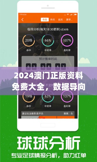 2024新澳今晚资料,实地观察解释定义_特色版9.619