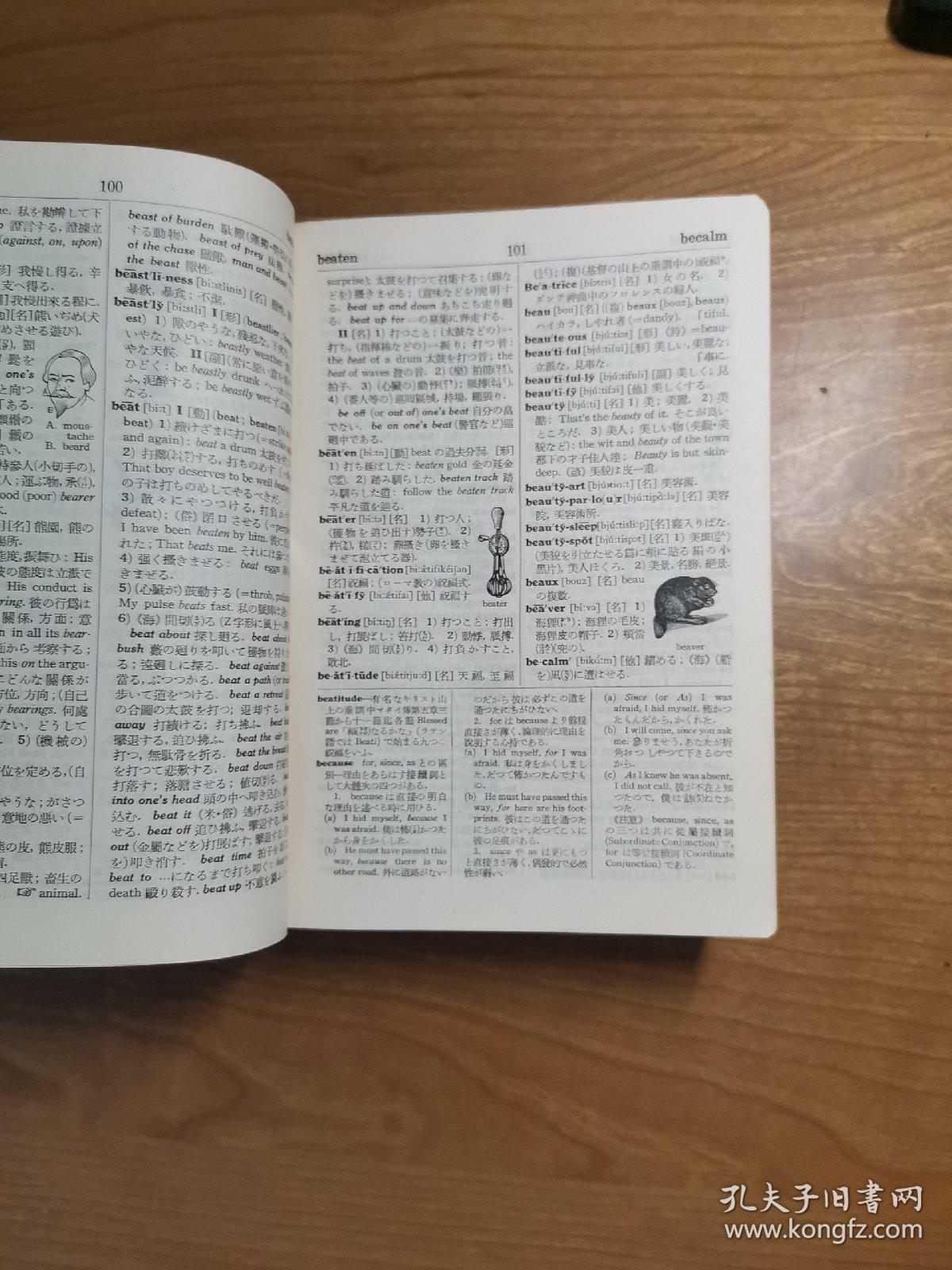 全新英文字典，开启语言探索之旅