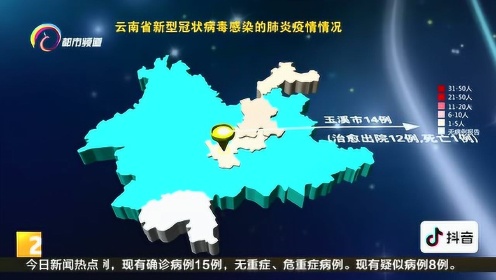 云南最新疫情动态更新，最新动态及发展状况
