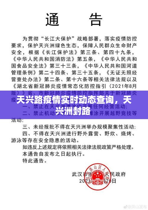 天兴洲最新动态揭秘，巷弄深处的独特风味探索